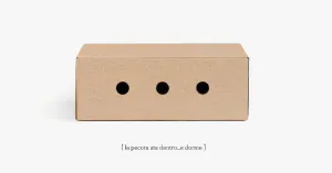 IL RITORNO DEL PICCOLO PRINCIPE